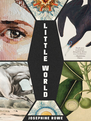 cover image of Little World